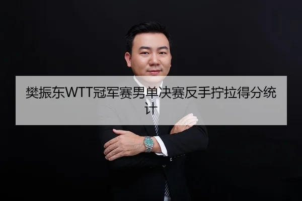 樊振东WTT冠军赛男单决赛反手拧拉得分统计
