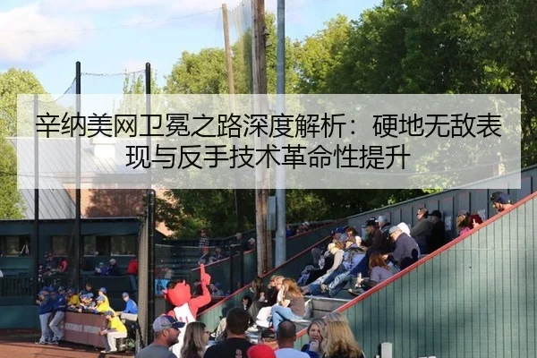 辛纳美网卫冕之路深度解析：硬地无敌表现与反手技术革命性提升