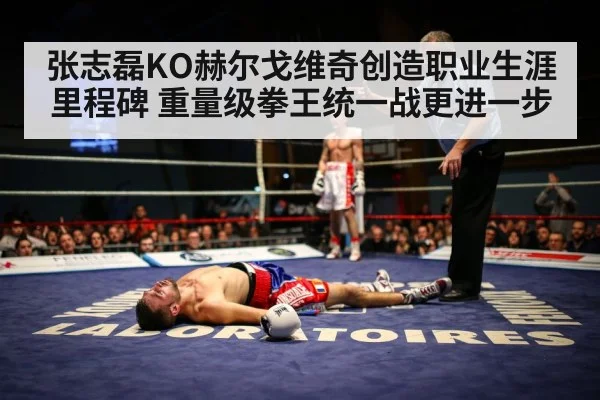张志磊KO赫尔戈维奇创造职业生涯里程碑 重量级拳王统一战更进一步