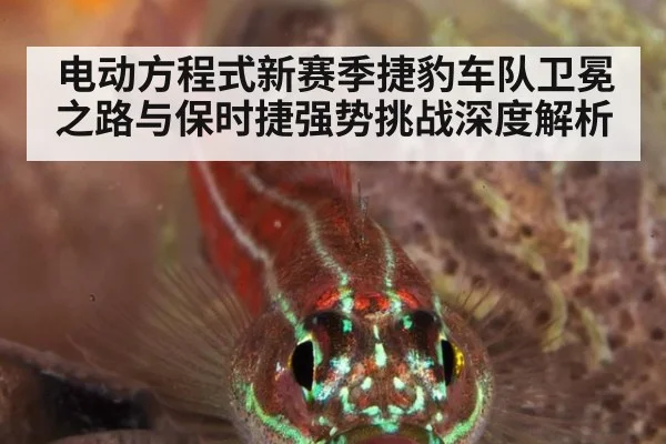 电动方程式新赛季捷豹车队卫冕之路与保时捷强势挑战深度解析